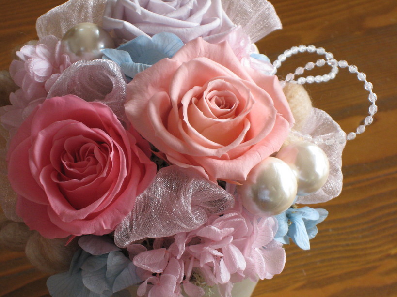 �A���u���b�W���[�Y�@�y�t�����[�A�����W�����g�X�N�[���z