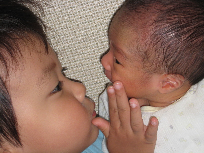 �A���u���b�W���[�Y�@�y�t�����[�A�����W�����g�X�N�[���z