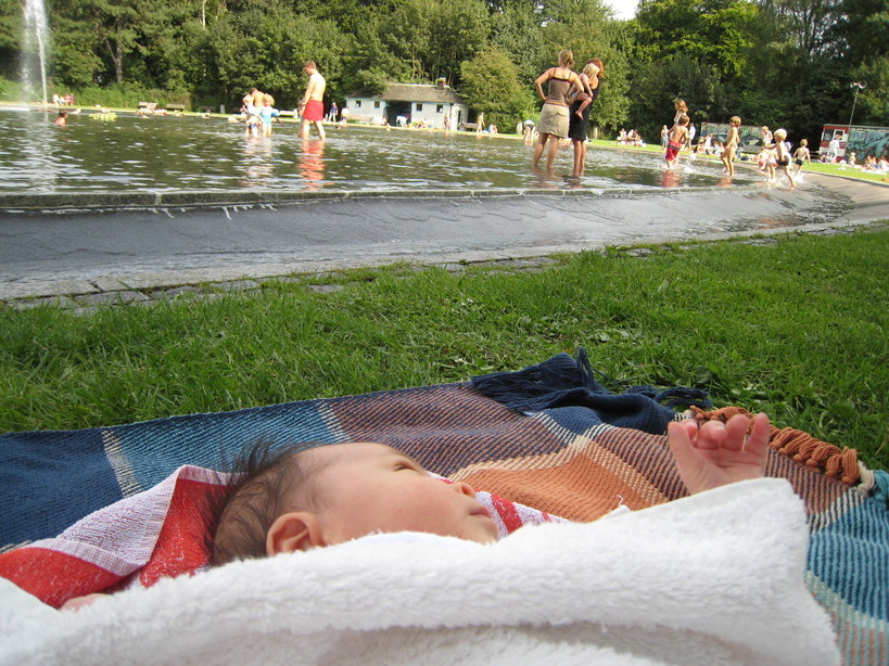 �A���u���b�W���[�Y�@�y�t�����[�A�����W�����g�X�N�[���z