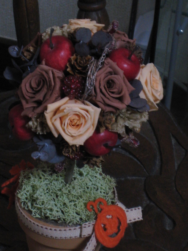 �A���u���b�W���[�Y�@�y�t�����[�A�����W�����g�X�N�[���z