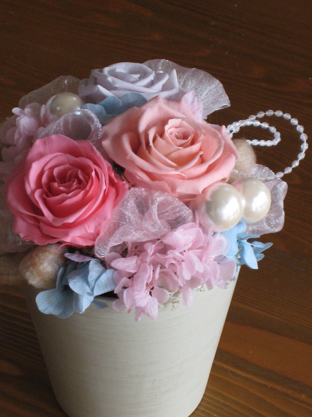 �A���u���b�W���[�Y�@�y�t�����[�A�����W�����g�X�N�[���z