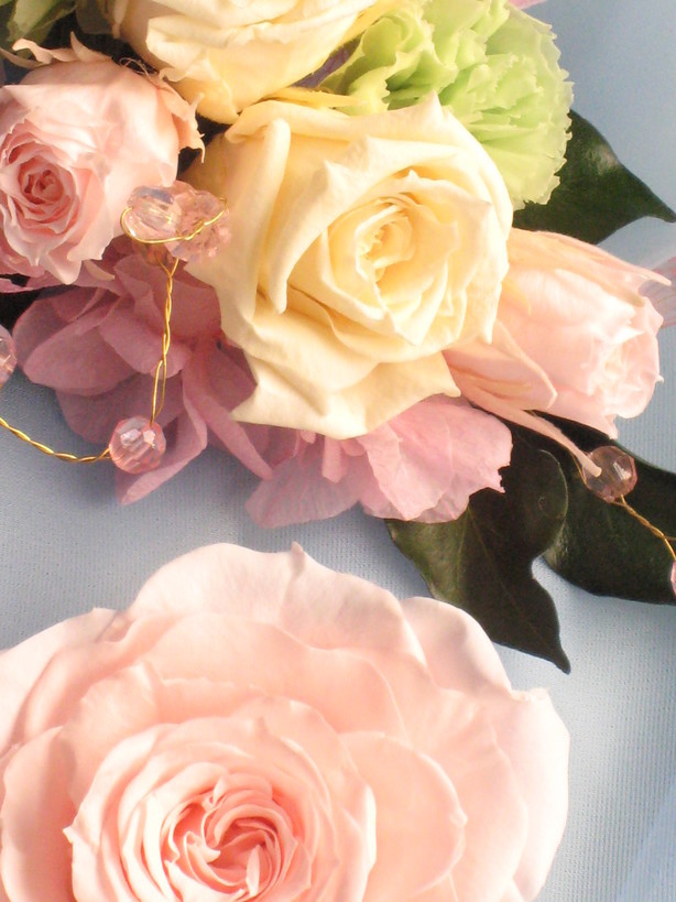 �A���u���b�W���[�Y�@�y�t�����[�A�����W�����g�X�N�[���z