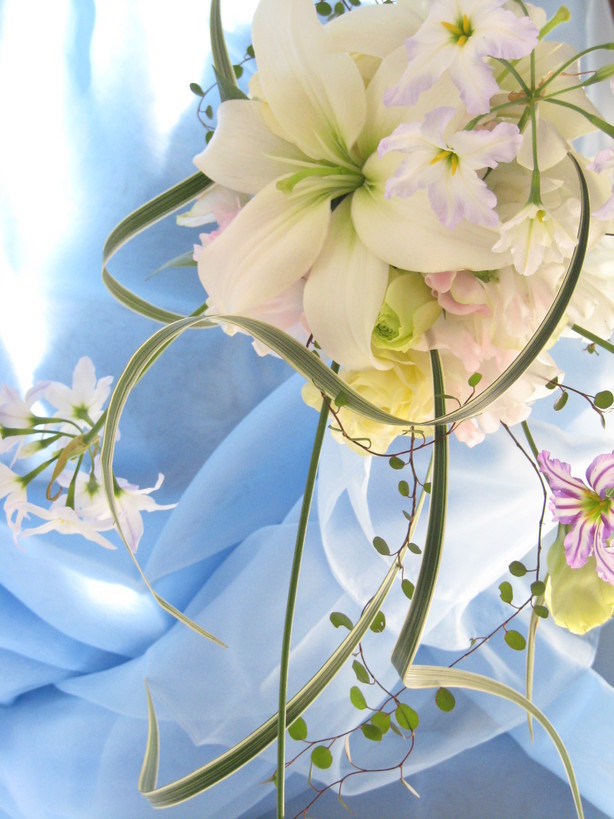 �A���u���b�W���[�Y�@�y�t�����[�A�����W�����g�X�N�[���z