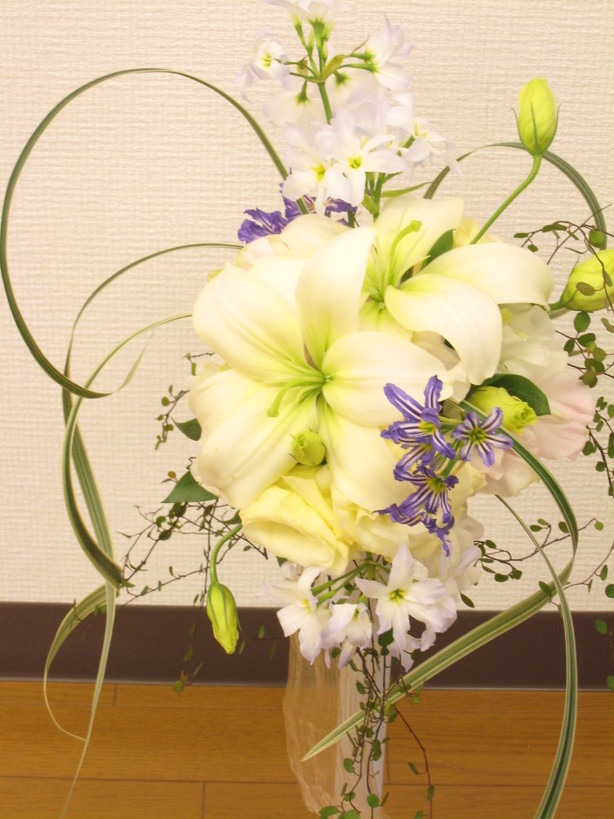 �A���u���b�W���[�Y�@�y�t�����[�A�����W�����g�X�N�[���z