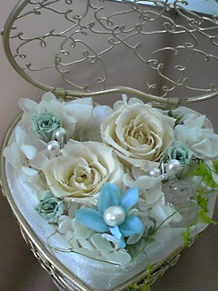 �A���u���b�W���[�Y�@�y�t�����[�A�����W�����g�X�N�[���z