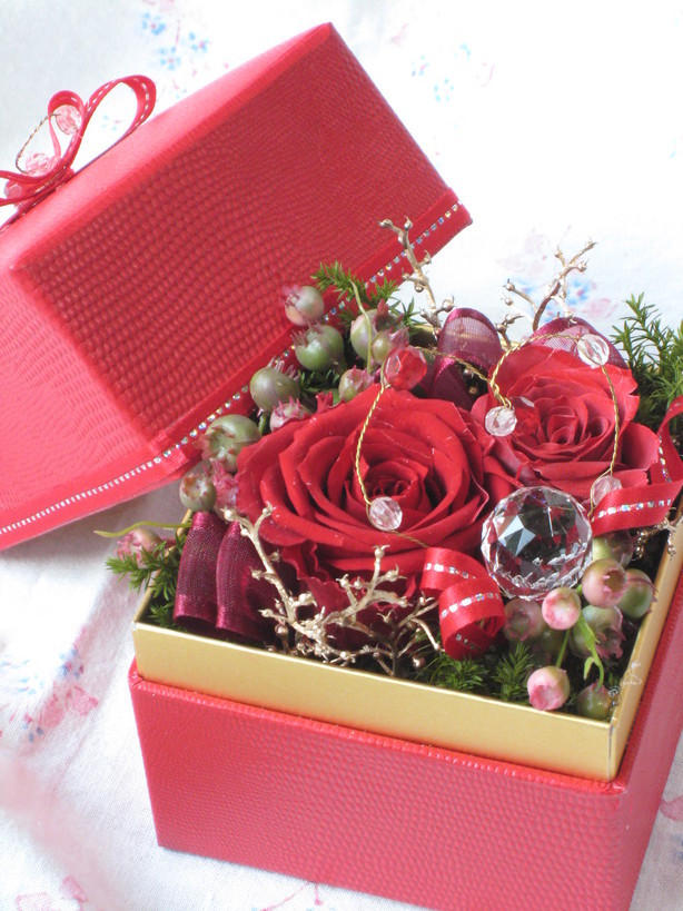 �A���u���b�W���[�Y�@�y�t�����[�A�����W�����g�X�N�[���z