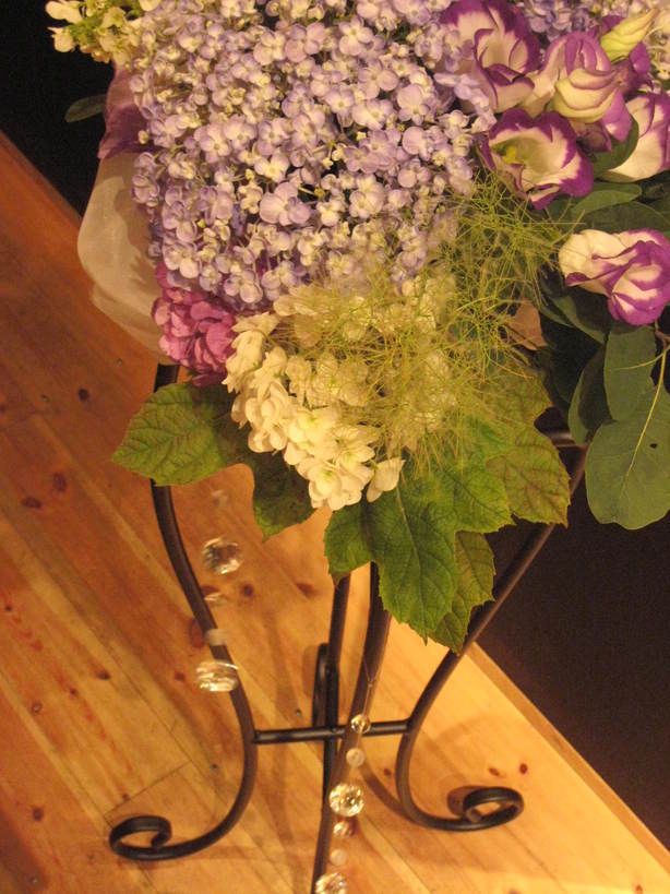 �A���u���b�W���[�Y�@�y�t�����[�A�����W�����g�X�N�[���z