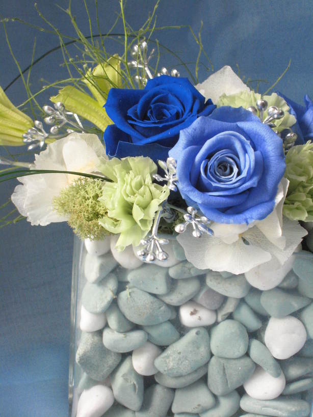 �A���u���b�W���[�Y�@�y�t�����[�A�����W�����g�X�N�[���z