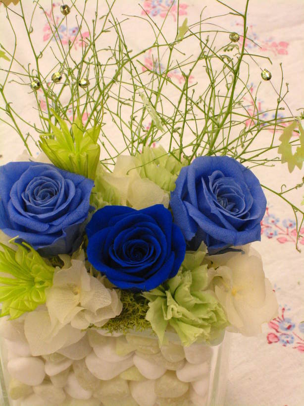 �A���u���b�W���[�Y�@�y�t�����[�A�����W�����g�X�N�[���z