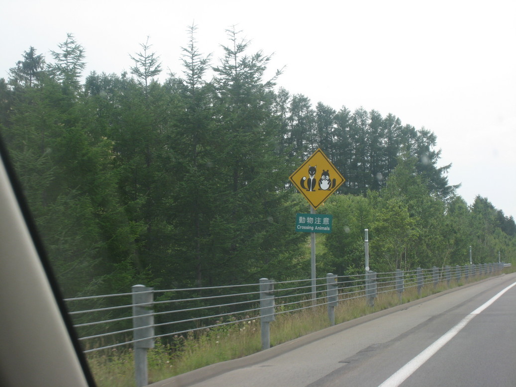 �A���u���b�W���[�Y�@�y�t�����[�A�����W�����g�X�N�[���z