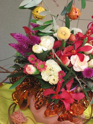 �A���u���b�W���[�Y�@�y�t�����[�A�����W�����g�X�N�[���z