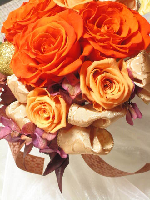 �A���u���b�W���[�Y�@�y�t�����[�A�����W�����g�X�N�[���z