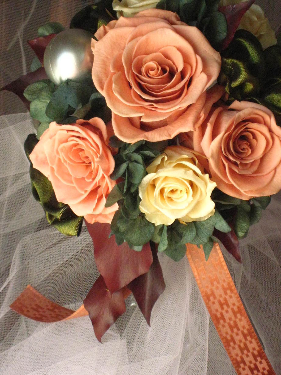 �A���u���b�W���[�Y�@�y�t�����[�A�����W�����g�X�N�[���z