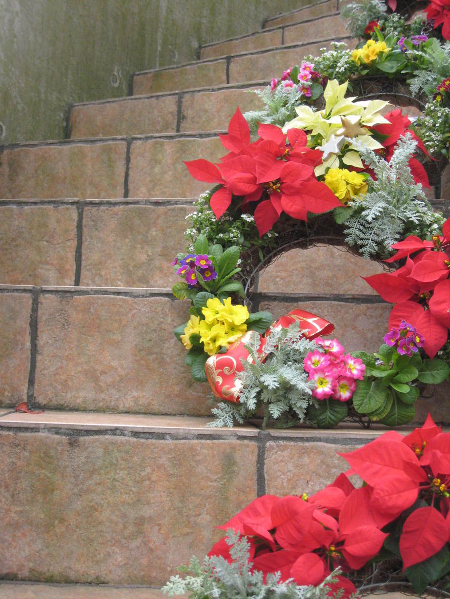 �A���u���b�W���[�Y�@�y�t�����[�A�����W�����g�X�N�[���z