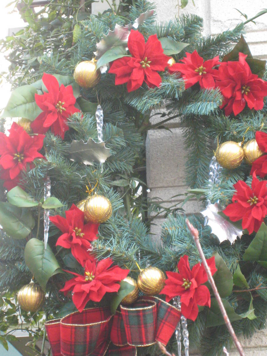 �A���u���b�W���[�Y�@�y�t�����[�A�����W�����g�X�N�[���z