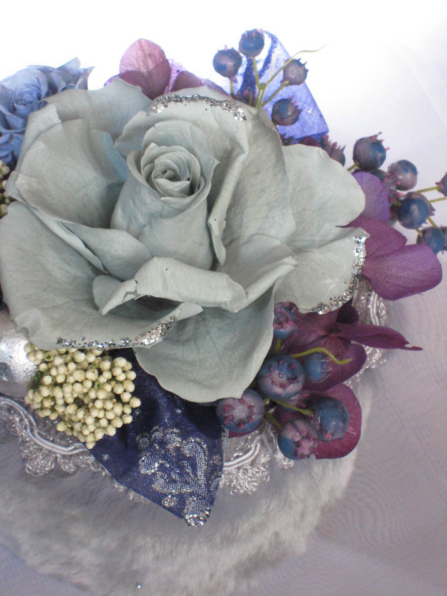 �A���u���b�W���[�Y�@�y�t�����[�A�����W�����g�X�N�[���z