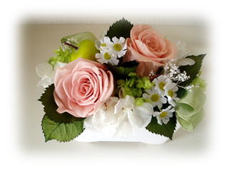 �A���u���b�W���[�Y�@�y�t�����[�A�����W�����g�X�N�[���z