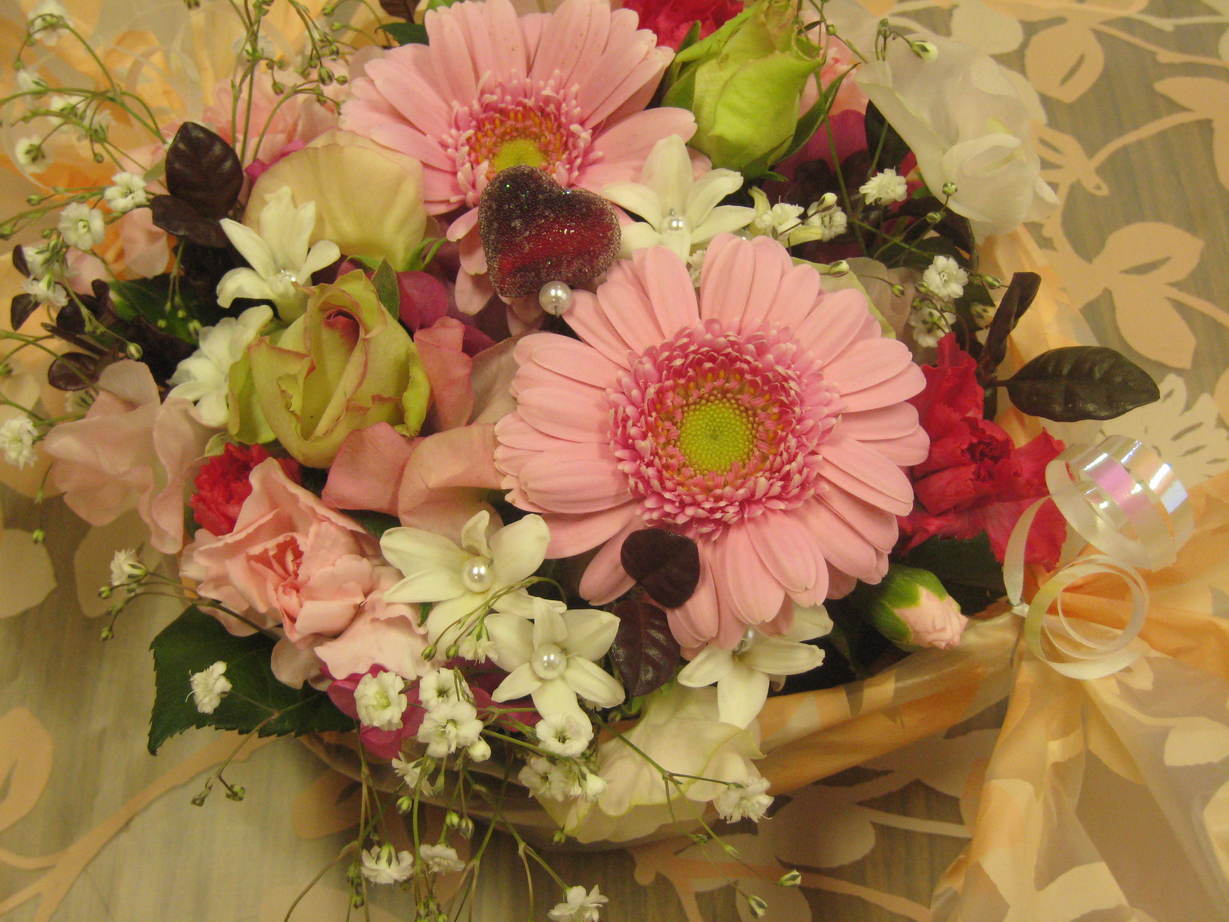 �A���u���b�W���[�Y�@�y�t�����[�A�����W�����g�X�N�[���z