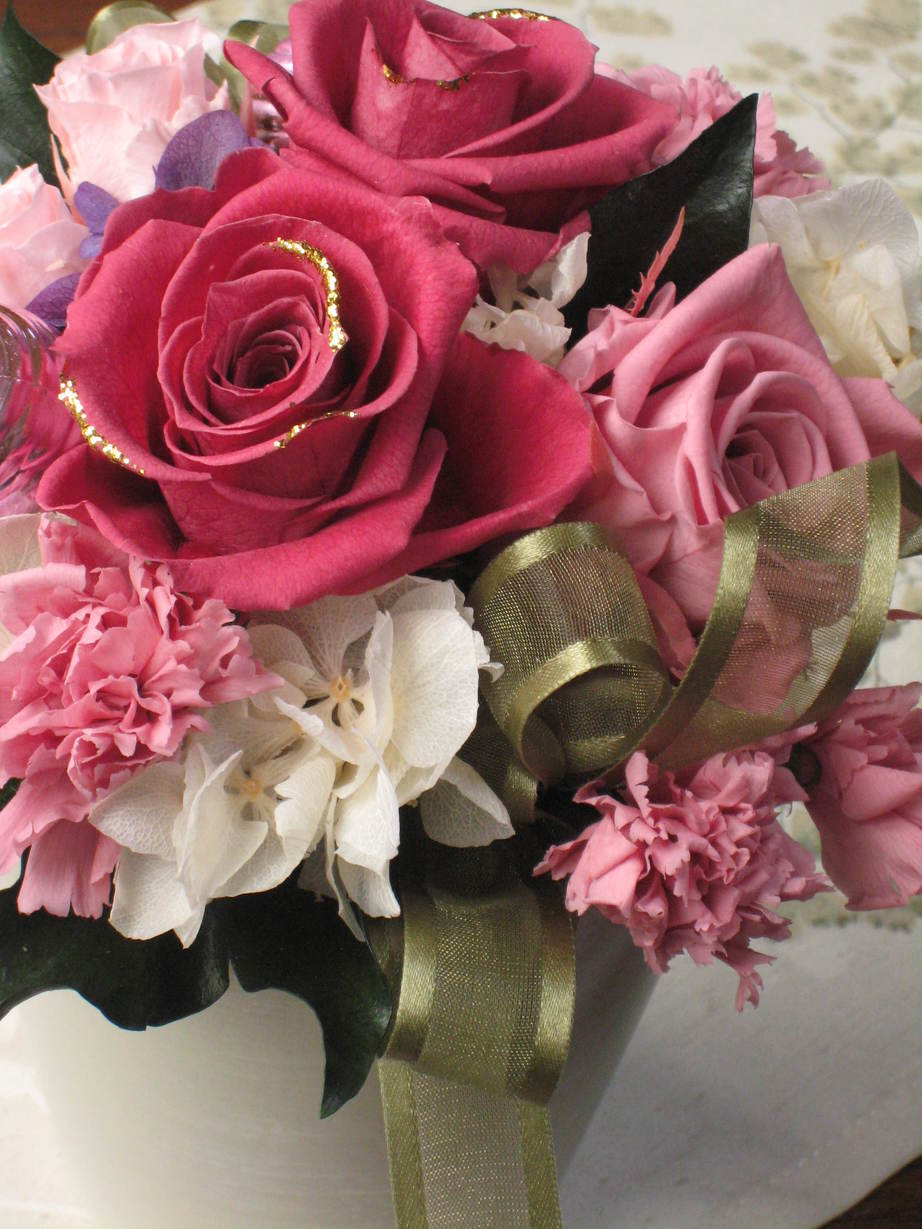 �A���u���b�W���[�Y�@�y�t�����[�A�����W�����g�X�N�[���z