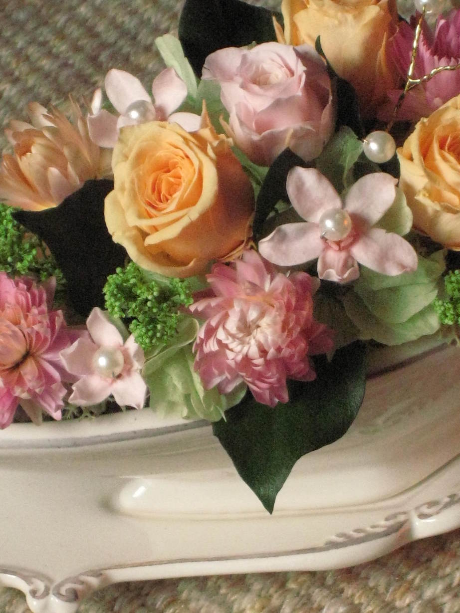 �A���u���b�W���[�Y�@�y�t�����[�A�����W�����g�X�N�[���z