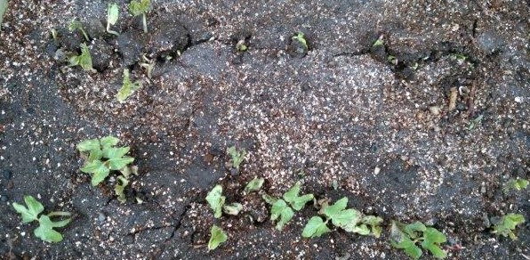 ���̍��̖l�́E�E�E�E������������́H part2