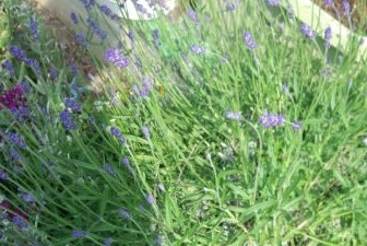 ���̍��̖l�́E�E�E�E������������́H part2