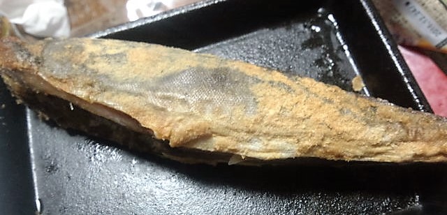 ���̍��̖l�́E�E�E�E������������́H part2