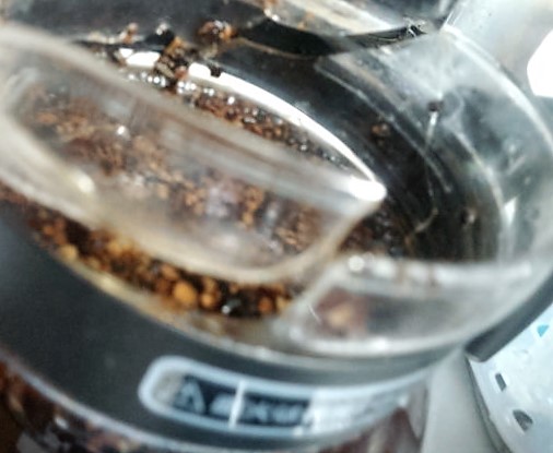 ���̍��̖l�́E�E�E�E������������́H part2