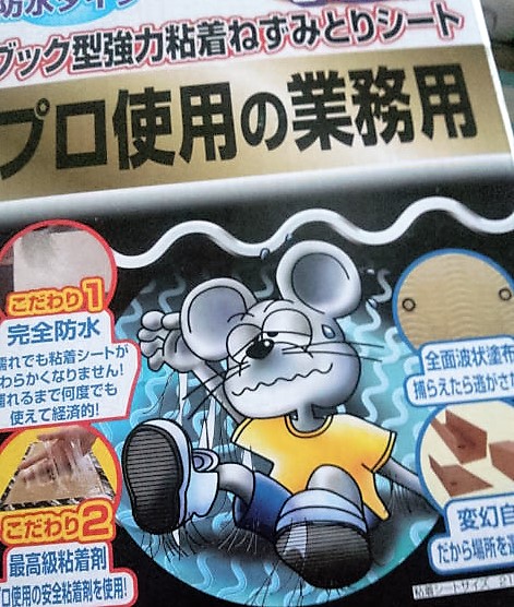 ���̍��̖l�́E�E�E�E������������́H part2