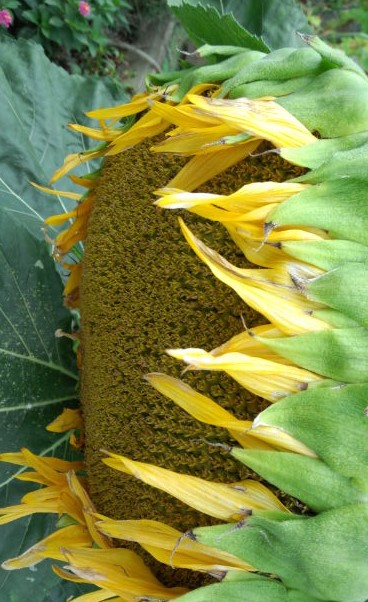 ���̍��̖l�́E�E�E�E������������́H part2