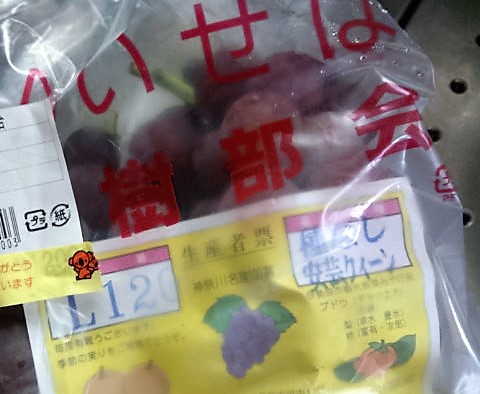 ���̍��̖l�́E�E�E�E������������́H part2