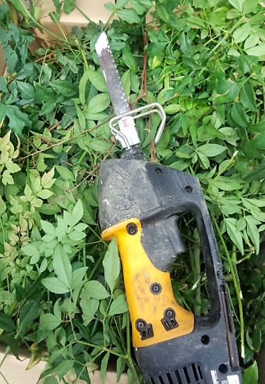 ���̍��̖l�́E�E�E�E������������́H part2