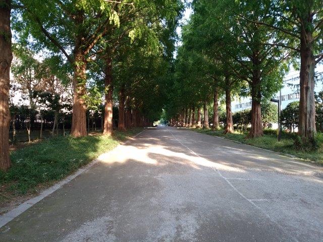 ���̍��̖l�́E�E�E�E������������́H part2