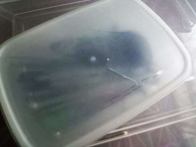 ���̍��̖l�́E�E�E�E������������́H part2