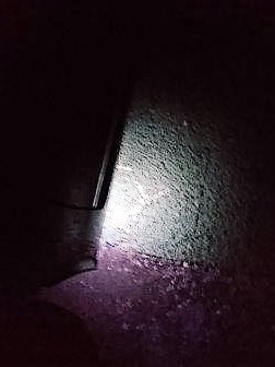 ���̍��̖l�́E�E�E�E������������́H part2