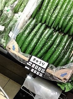 ���̍��̖l�́E�E�E�E������������́H part2