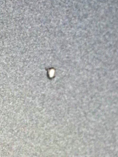 ���̍��̖l�́E�E�E�E������������́H part2