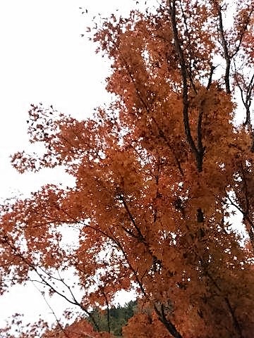 ���̍��̖l�́E�E�E�E������������́H part2