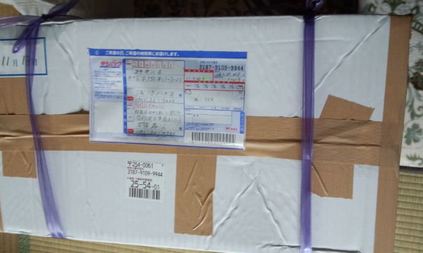 ���̍��̖l�́E�E�E�E������������́H part2