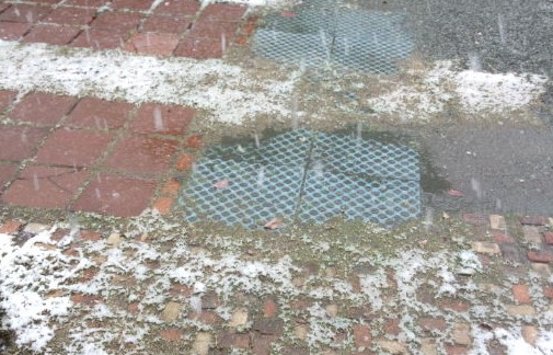 ���̍��̖l�́E�E�E�E������������́H part2