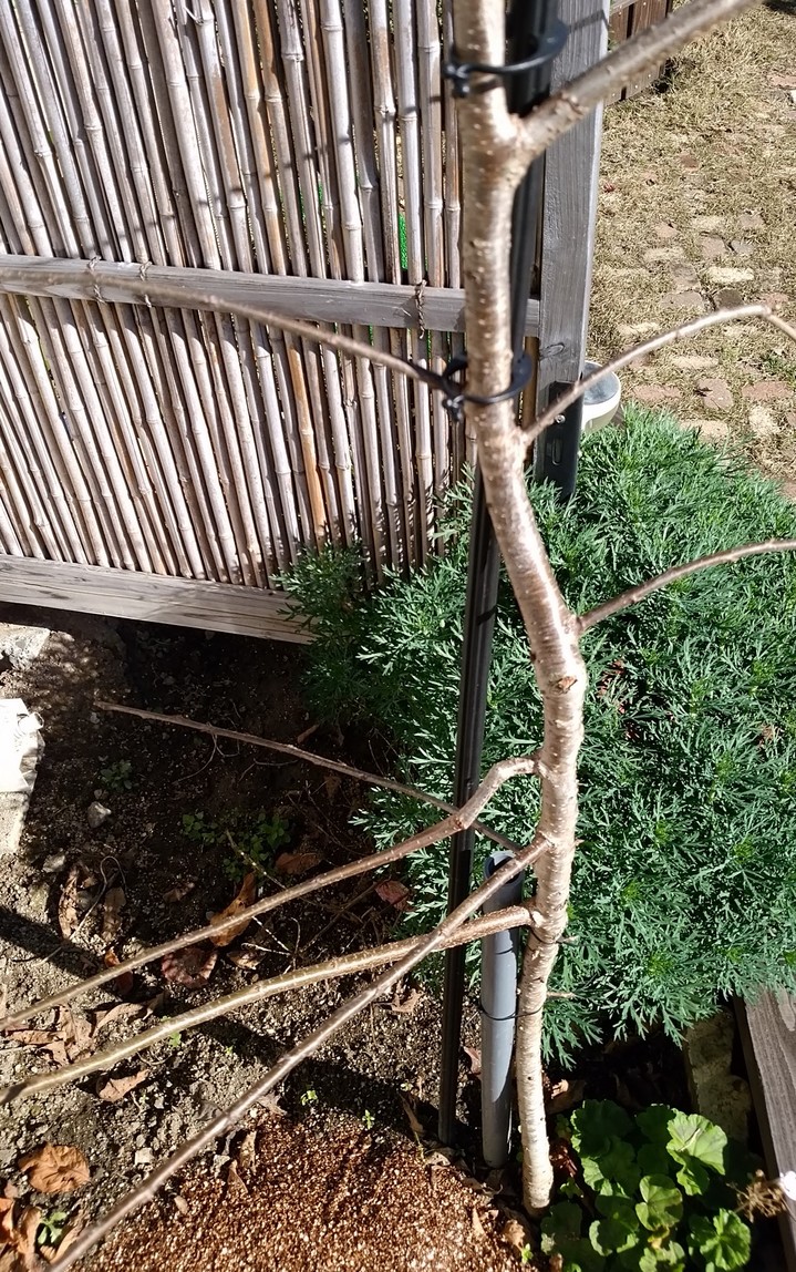 ���̍��̖l�́E�E�E�E������������́H part2