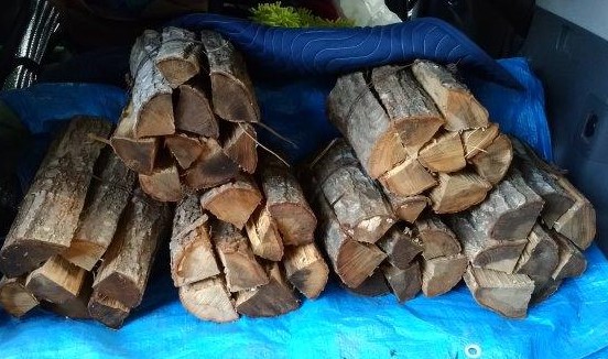 ���̍��̖l�́E�E�E�E������������́H part2