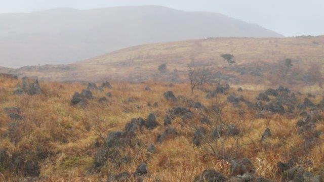 ���̍��̖l�́E�E�E�E������������́H part2