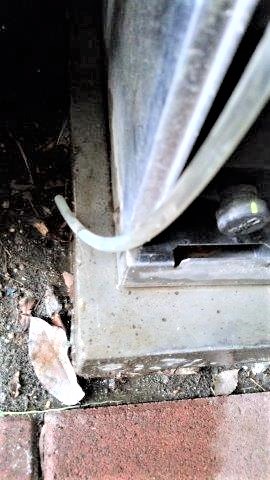 ���̍��̖l�́E�E�E�E������������́H part2