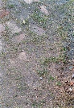 ���̍��̖l�́E�E�E�E������������́H part2