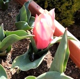 ���̍��̖l�́E�E�E�E������������́H part2