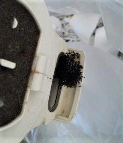 ���̍��̖l�́E�E�E�E������������́H part2