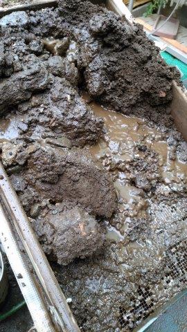 ���̍��̖l�́E�E�E�E������������́H part2