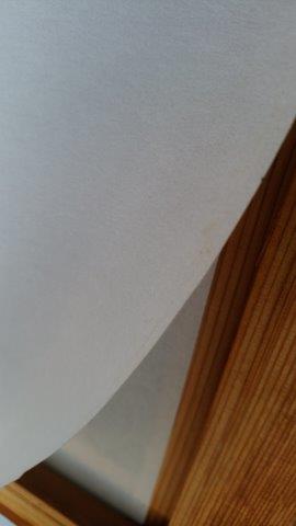 ���̍��̖l�́E�E�E�E������������́H part2