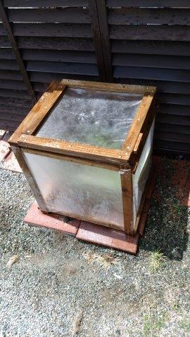 ���̍��̖l�́E�E�E�E������������́H part2